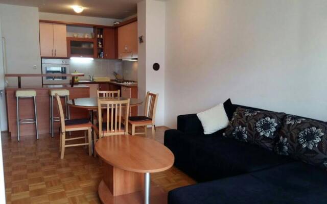 Apartment Svejk