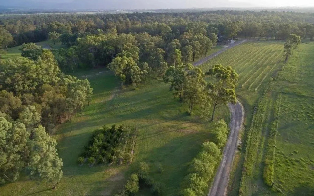 Fig Tree Luxury Guest House