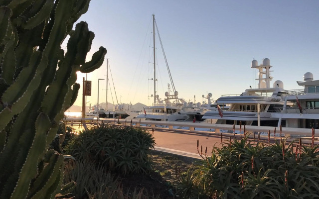 Résidence La Palme d'Azur Cannes Verrerie