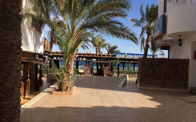 Penguin Village Dahab