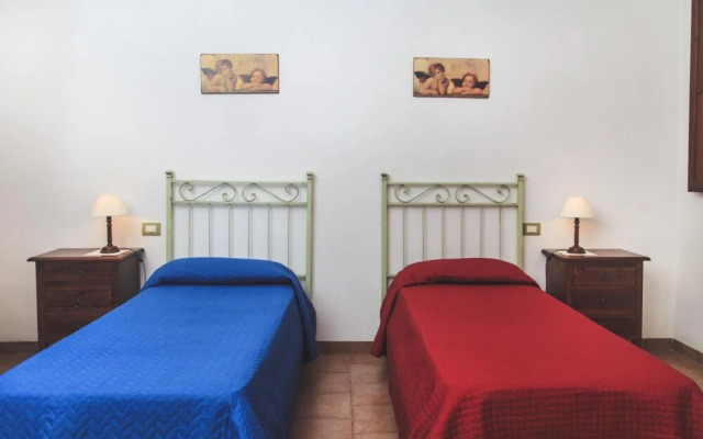 Ulivo in Maltraverso