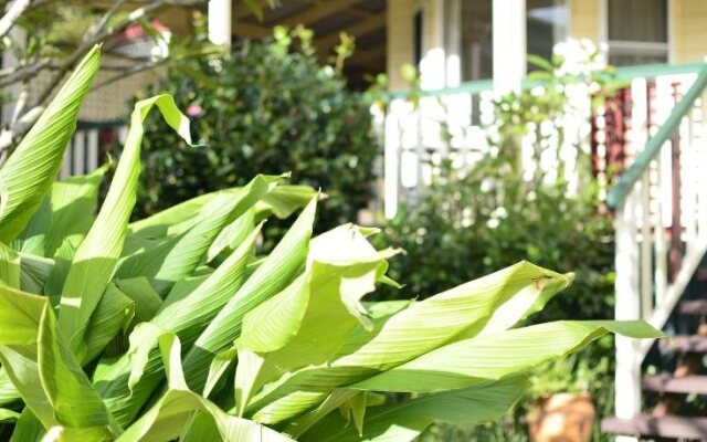 Rosevillehouse Bed & Breakfast