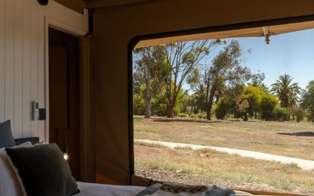 CANVS by CABN Seppeltsfield Barossa