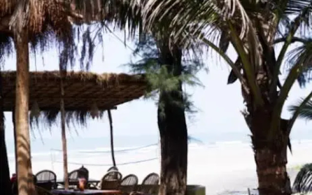Little Palm Grove