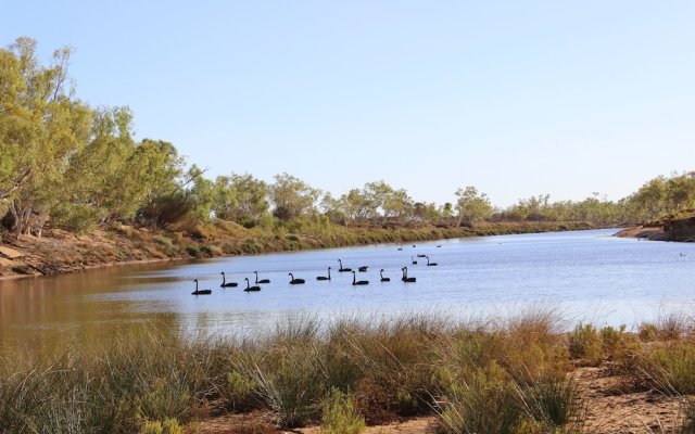 Wooleen Station