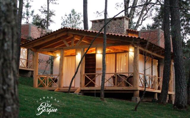 Cabañas La Vid Del Bosque
