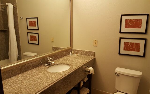 Comfort Suites Stafford Near Sugarland