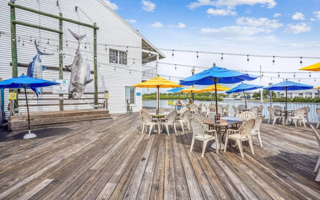 Harbourside 7716- Splash On The Rocks