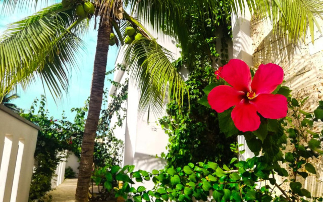 Hotel Rilux Tolu -Casa Danae-