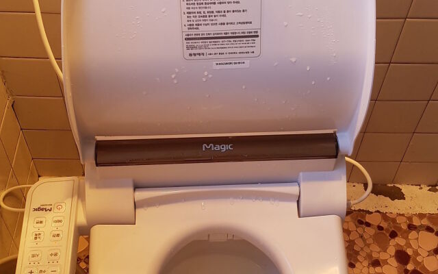 Springflower Guesthouse - Hostel