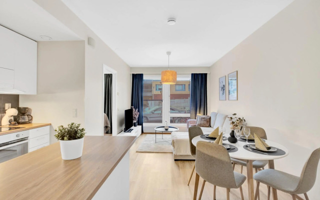 Apartment Scandinavia III