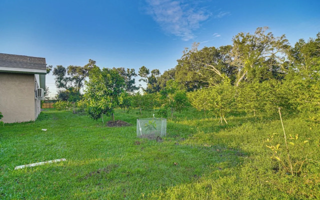 Tropical Tampa Home: Pets Welcome!