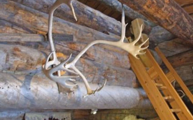 Salmikangas h2 Kuusamo