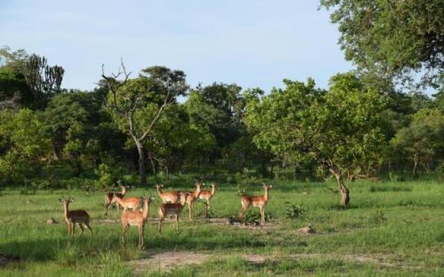 Mawimbi Bush Camp