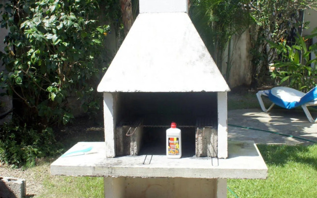 The Hummingbird