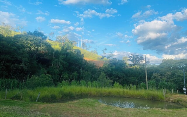 Refúgio dos pinhais
