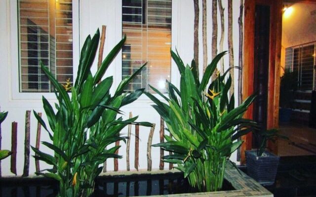 Tree Siem Reap Apartments