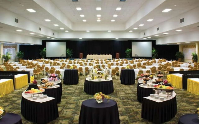 Saddlebrook Golf Resort & Spa Tampa North - Wesley Chapel
