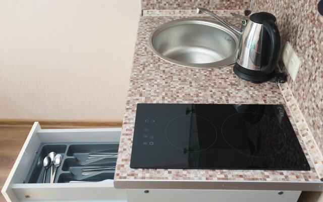 Двухуровневые апартаменты на Пушкинской, 12