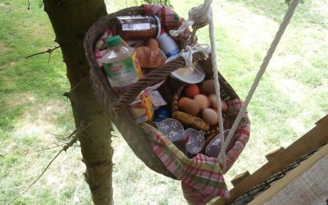Cabane dans les Arbres - Tree House