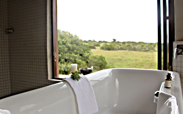 Hlosi Game Lodge - Amakhala Game Reserve