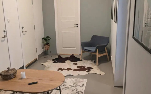 Studio leilighet i Stryn sentrum NY