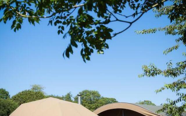 Durrell Wildlife Camp