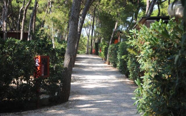 Villaggio Pineta al Mare - Campground