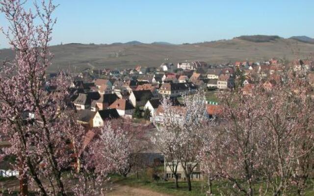 Gite du Vignoble