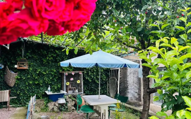 Lovely Goris