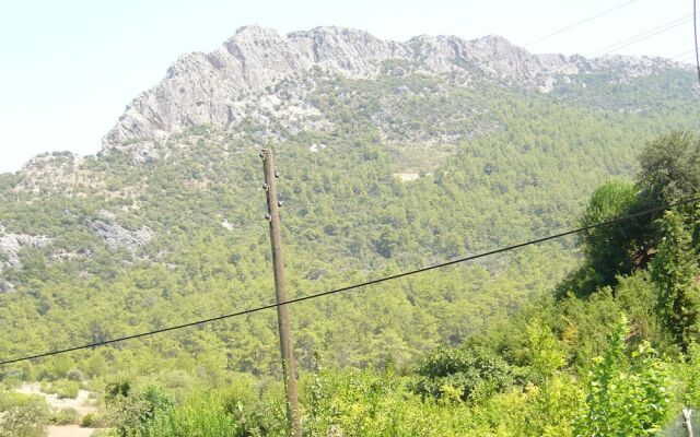 Waldvilla