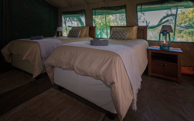 Nkwe Safari Lodge
