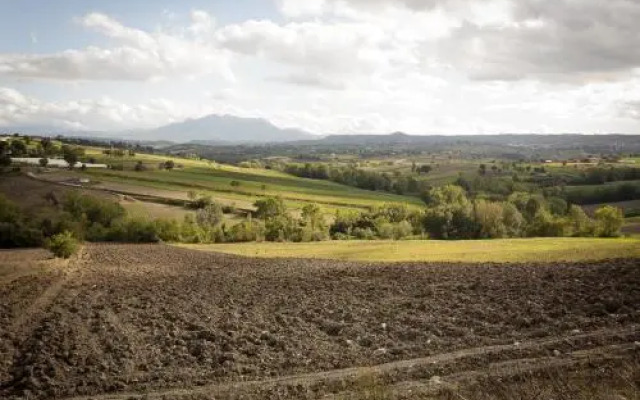 Agriturismo Villa Luisa
