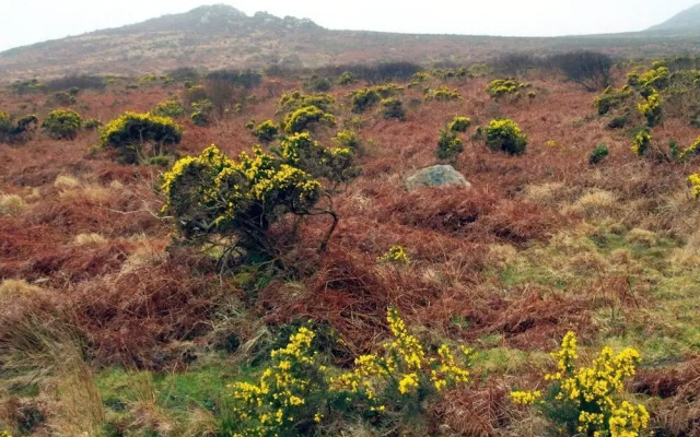 Period Living in Hayle