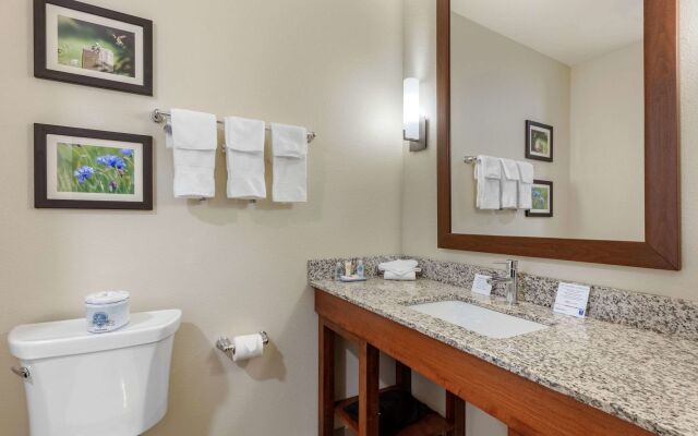 Comfort Inn White House