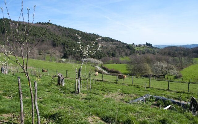 Domaine le Trouillet