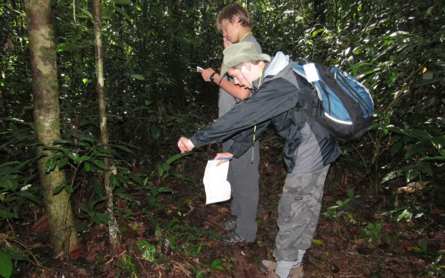 Ceiba Tops Lodge
