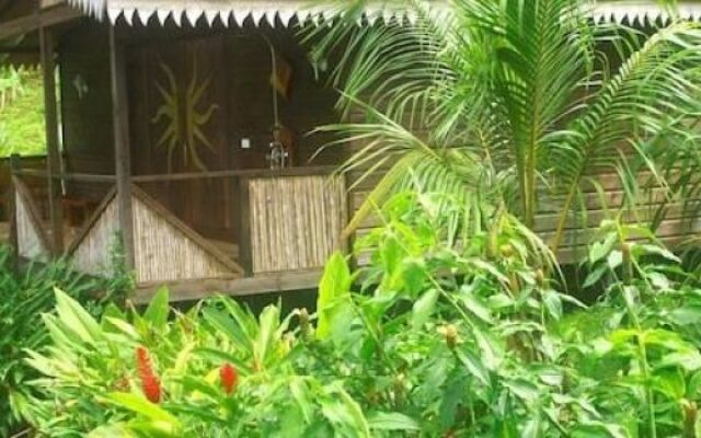 Liberty Jungle