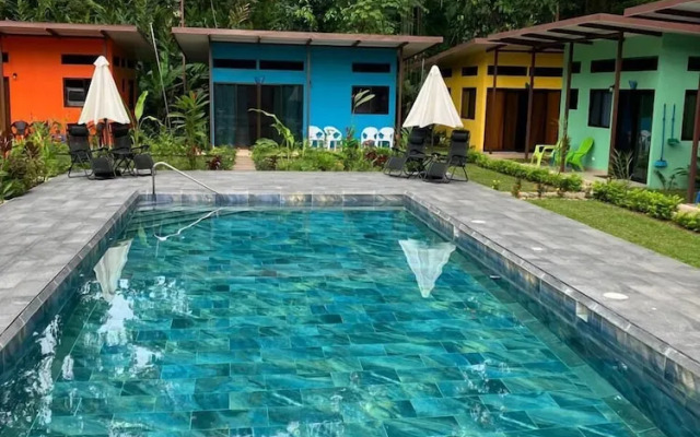 Caribbean Blue Morpho