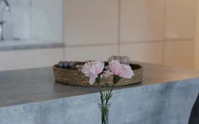 Spacious 2BR Apt - Lake View & Sauna