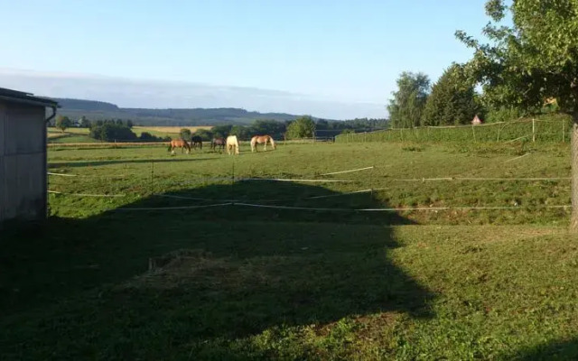 Blackjack Ranch