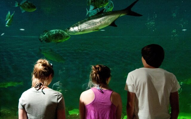 Candlewood Suites Lake Jackson Clute by IHG