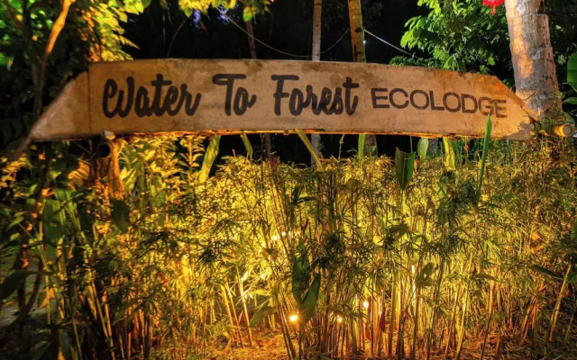 Water To Forest Ecolodge