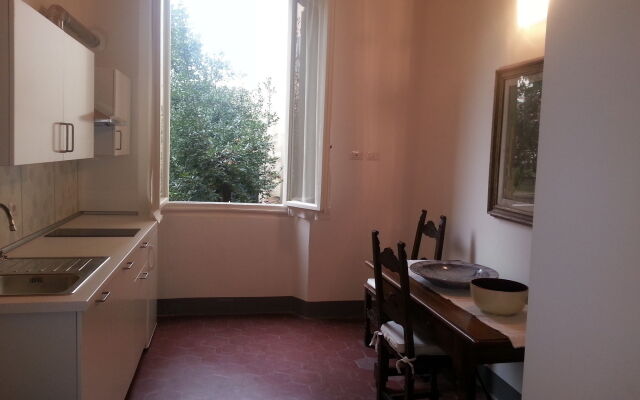 Little Garden Donatello