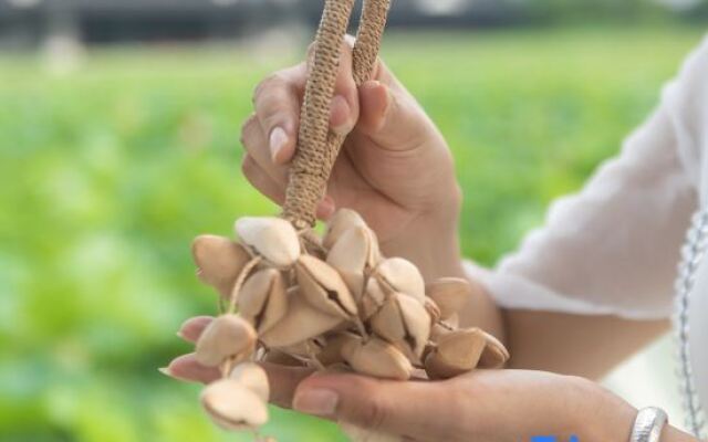 Song Hotel Wuxi Xuelang