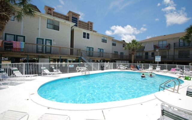 Sand Dollar 14 by RedAwning