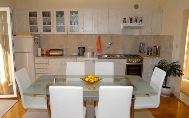 Apartment Ante - with large terrace : A1 Primosten, Riviera Sibenik