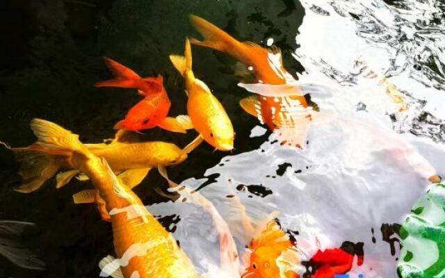 Wuzhen Moyitang Humanities and Arts Hotel