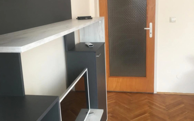 Stylish spacious flat