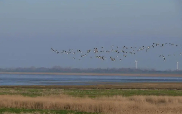 Holiday Home Bruning